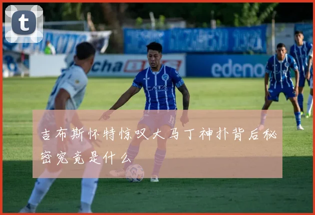 吉布斯怀特惊叹大马丁神扑背后秘密究竟是什么